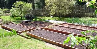 Raised Beds For Spring Planting