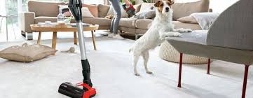 lover vacuums for pet hair bosch