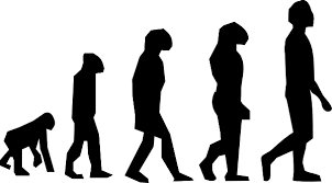 Image result for evolution clipart