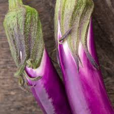 high mowing organic seeds 2467 a ping tung long eggplant seed solanum melongena