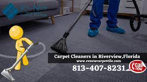 carpet cleaning services riverview