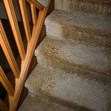 how to clean mold mildew in carpet
