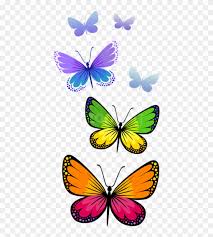 png format erfly clipart png