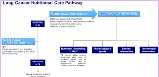 lung cancer nutritional care pathway a