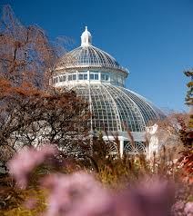 Happy Thanksgiving From Nybg