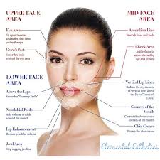 difference between botox and filler