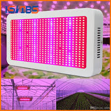 Full Spectrum Grow Light Kits 600w Led Grow Lights Flowering Plant And Hydroponics System Led Plant Lamps Ac 85 265v Kind Led Grow Lights Grow Light Stand From Isltbs 45 23 Dhgate Com