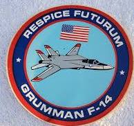 Vintage Orig 1970 US Navy F-14 Grumman Sticker Decal Respice Futurum Top  Gun USA