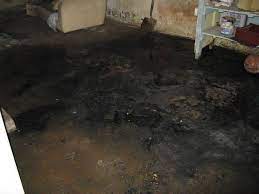Sewage Damage In A Basement Not Clean