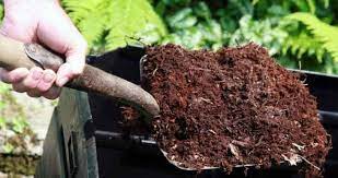 When To Add Compost To The Garden Now