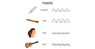 That's why it's 12 weeks long! What Is Timbre In Music Sound And Voice With Examples Music Industry How To