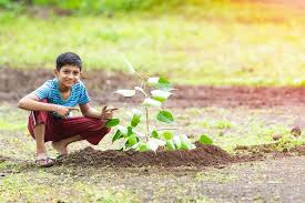 Volunteers Plant 250 Million Trees In
