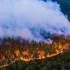 Haze: Causality and Forest Fires