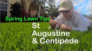 In fall, apply as soil temps fall to 70f coming out of summer. 2021 Early Spring Lawn Care Steps Youtube