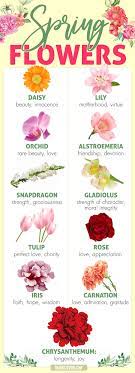 spring flower meanings