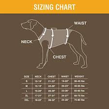 6 Best Dog Hunting Vest Brands Of 2020 And Your Buyers Guide