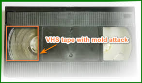 convert vhs to dvd without a vcr