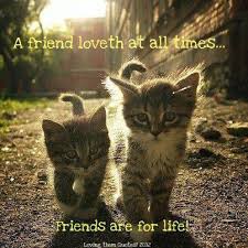 Image result for loyal friend