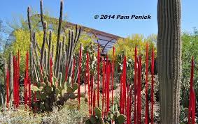 visit to desert botanical garden and
