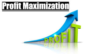Profit Maximization | Advantages and Disadvantages of Profit Maximization