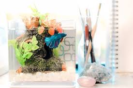 How to Decorate a Fish Tank With Household Items - TheLAShop.com gambar png
