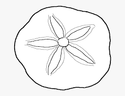 The first recorded use of seashell as a color name in english was in 1926. Coloring Pages Sea Shells Seashell Coloring Page Free Transparent Clipart Clipartkey