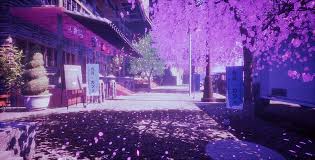 anime original cherry blossom sakura