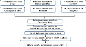 Consensus normalized expression (nx) levels for human tissues was created by combining the data from these three transcriptomics datasets. Identification Of Lung Specific Genes By Meta Analysis Of Multiple Tissue Rna Seq Data Abstract Europe Pmc
