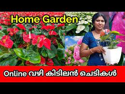 Best Home Garden Garden Ideas For
