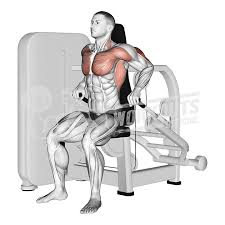 lever seated dip workouts official