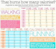 Pin On Food Calories That Burn