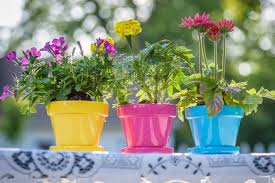 12 Flower Pot Color Ideas Go Potty And