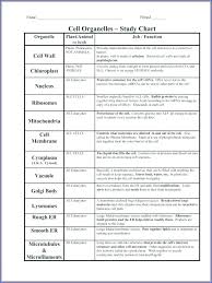 Cell Organelles And Their Functions Worksheets
