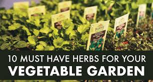 Have Herbs For Your Vegetable Garden