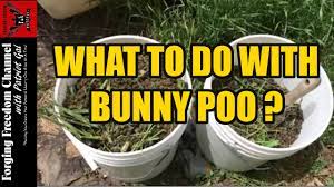 managing rabbit manure for composting