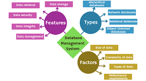 what is database management system