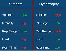 hypertrophy training strength