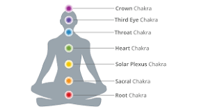 Image result for 7 chakra