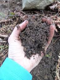 1 Soils Plant Nutrients Nc State
