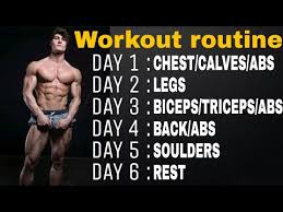 Jeff Seid Workout Routine 2018 Full Body Workout Day Wise Aesthetic Buddy
