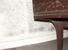 carpet mold and furniture mold
