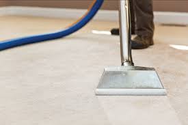 lozalas carpet cleaning carpet