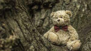 1920x1080 resolution cute teddy bear
