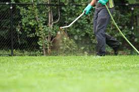 We also provide safe and effective mosquito and. Organic Lawn Care Toronto Naturally The Best Solution For Your Lawn