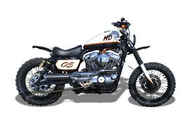 harley davidson scrambler