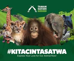Indonesia is a country with variant of specific fauna spread throughout indonesian archipelago. Kitacintasatwa Taman Safari Indonesia Invites People To Help Animals Pr Newswire Apac