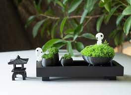 Zen Garden Kit With Lantern Moss Bowl