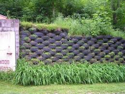 recycled tire retaining wall garden