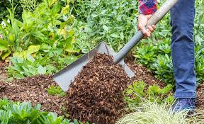 The Best Mulches For South Florida