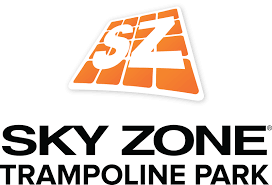 Image result for sky zone
